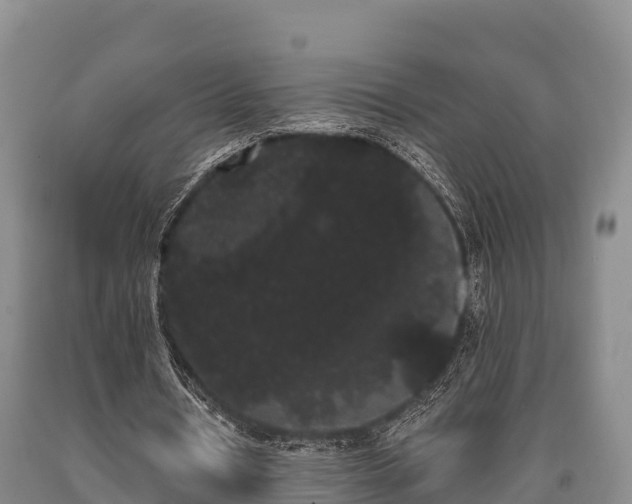 X0000090710434200707271134