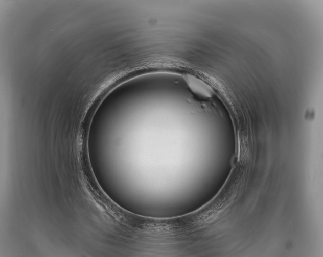 X0000090710435200707271134