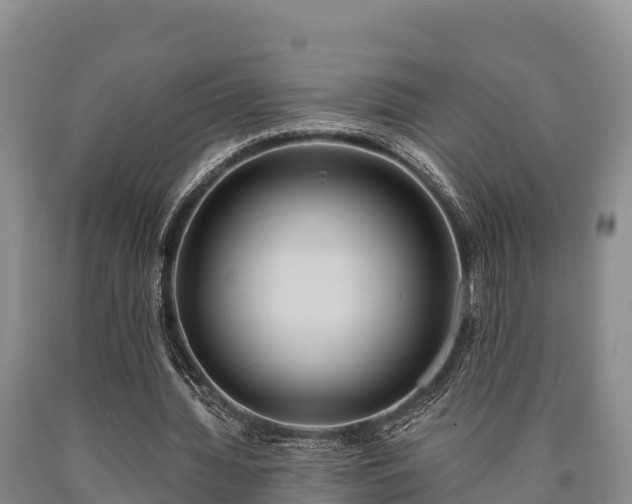 X0000090710436200707271134