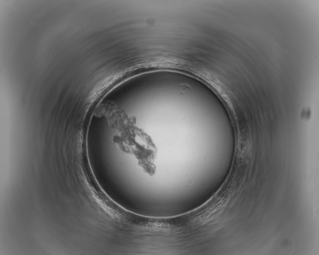 X0000090710437200707271134