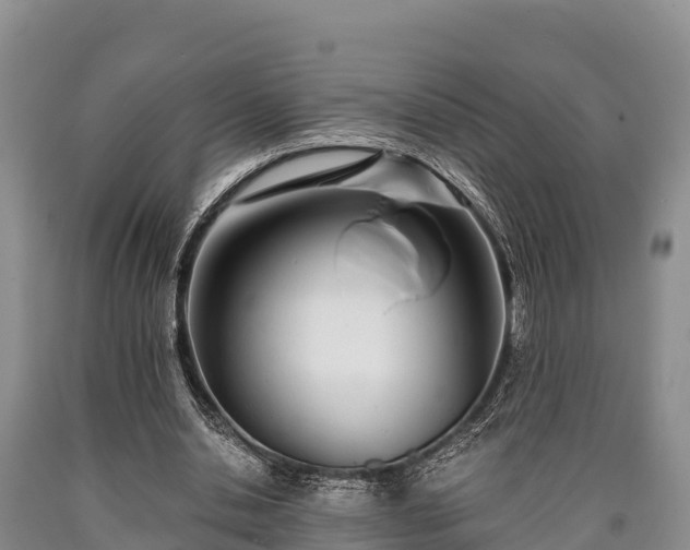 X0000090710438200707271134