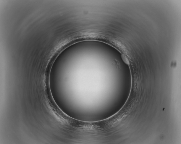 X0000090710439200707271134