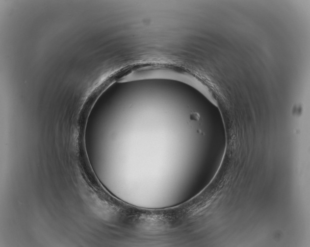 X0000090710440200707271134