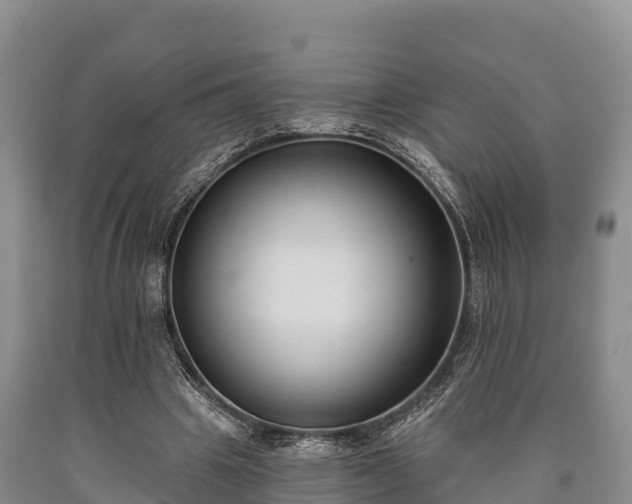 X0000090710441200707271134