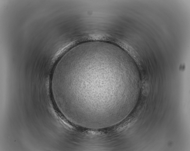 X0000090710442200707271134