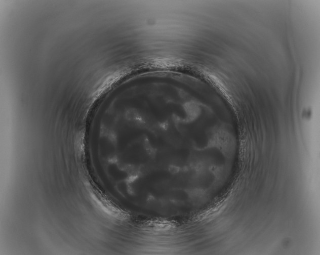 X0000090710443200707271134