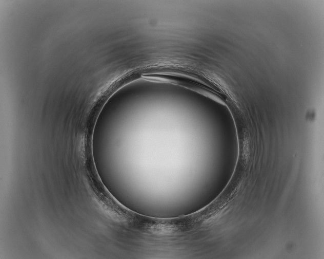 X0000090710444200707271134