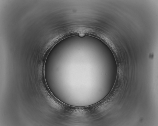 X0000090710445200707271134