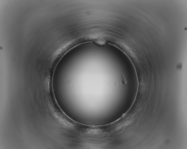 X0000090710446200707271134