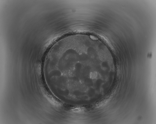 X0000090710447200707271134