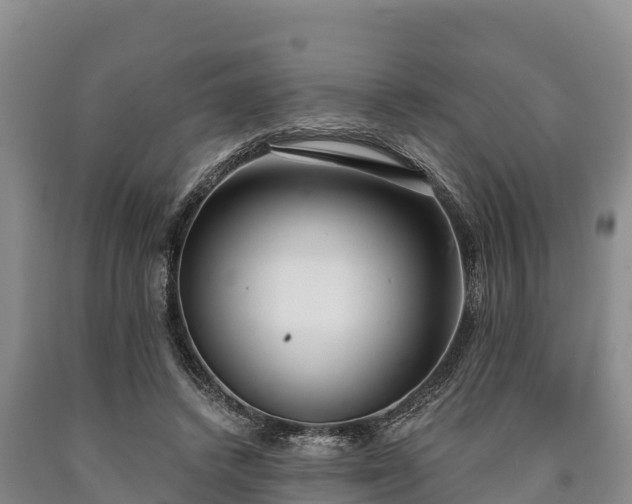 X0000090710448200707271134