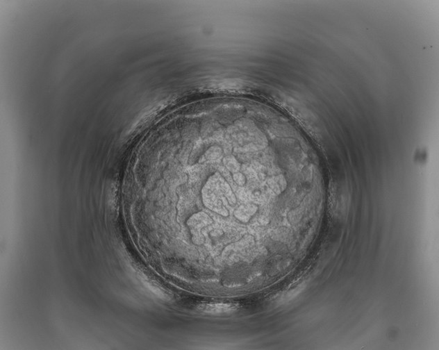 X0000090710449200707271134