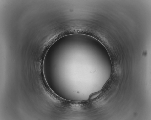 X0000090710450200707271134