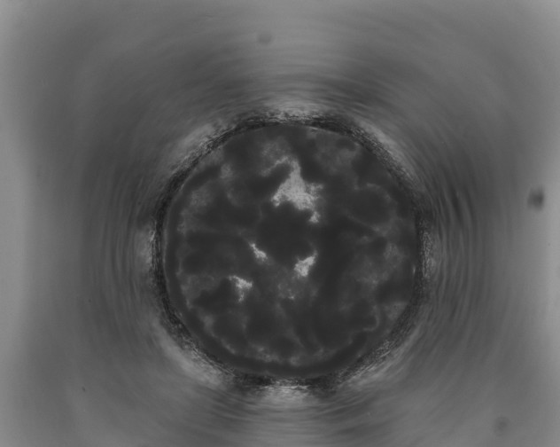 X0000090710451200707271134