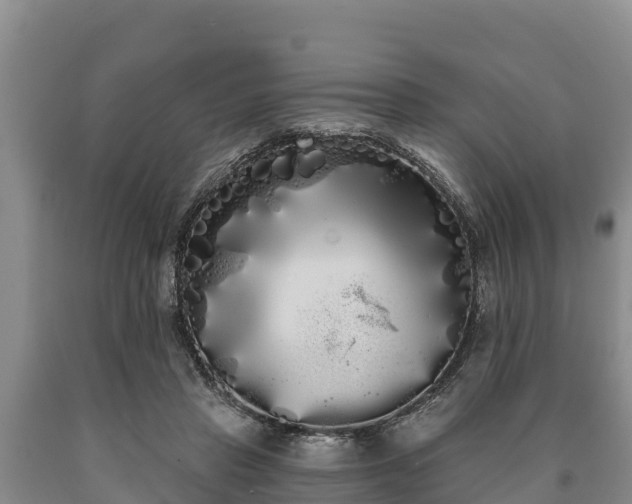 X0000090710453200707271135