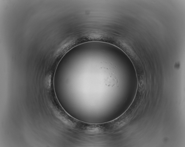 X0000090710454200707271135