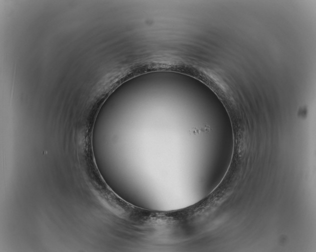 X0000090710455200707271135