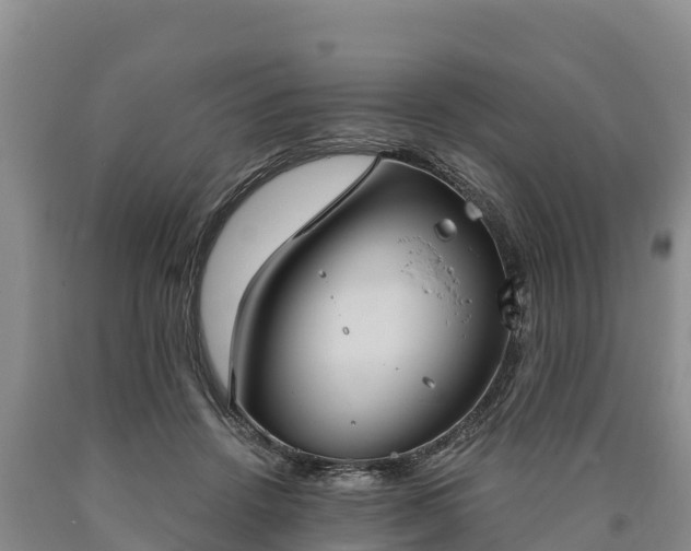 X0000090710456200707271135