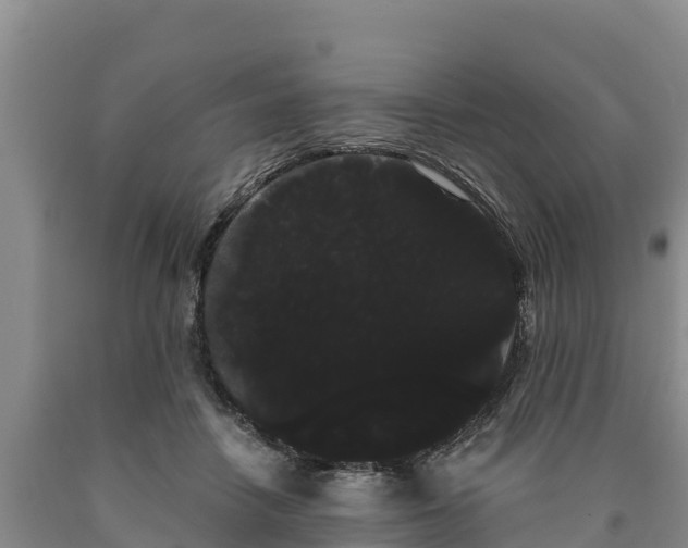 X0000090710458200707271135