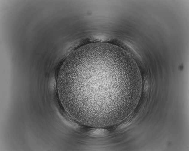 X0000090710459200707271135