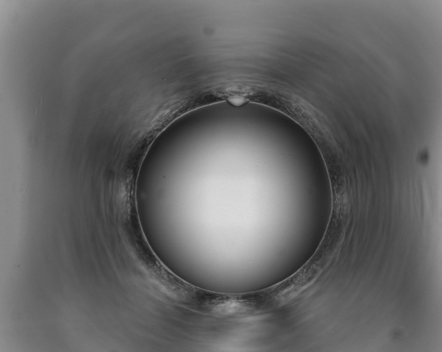 X0000090710460200707271135