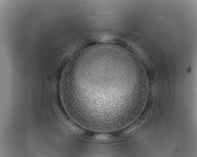 X0000090710461200707271135