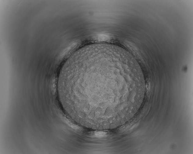 X0000090710462200707271135