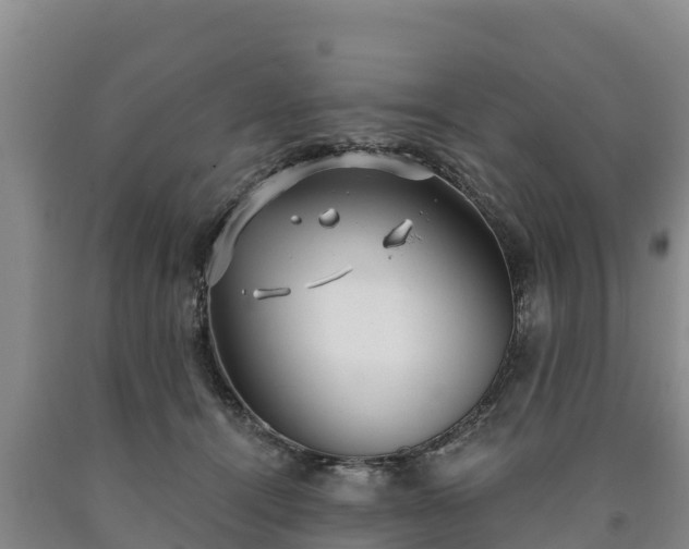 X0000090710464200707271135