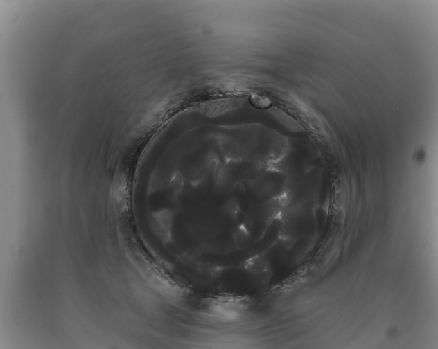 X0000090710465200707271135