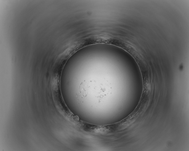 X0000090710468200707271135