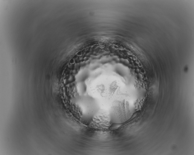 X0000090710469200707271135