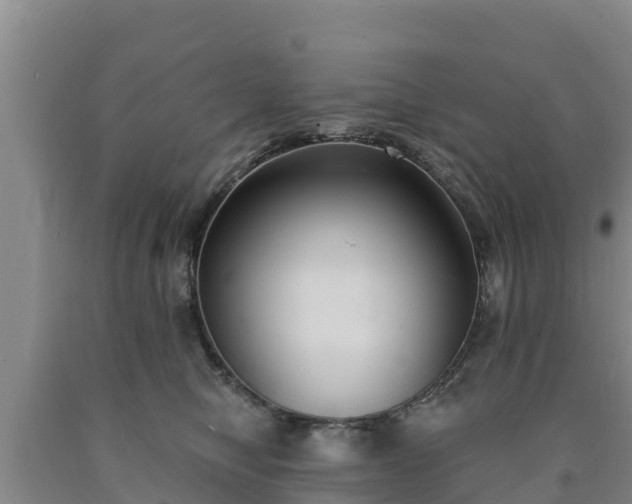 X0000090710470200707271135