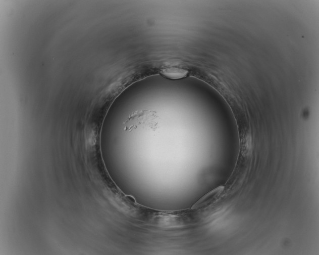 X0000090710472200707271135