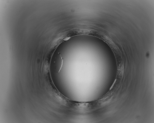 X0000090710474200707271135