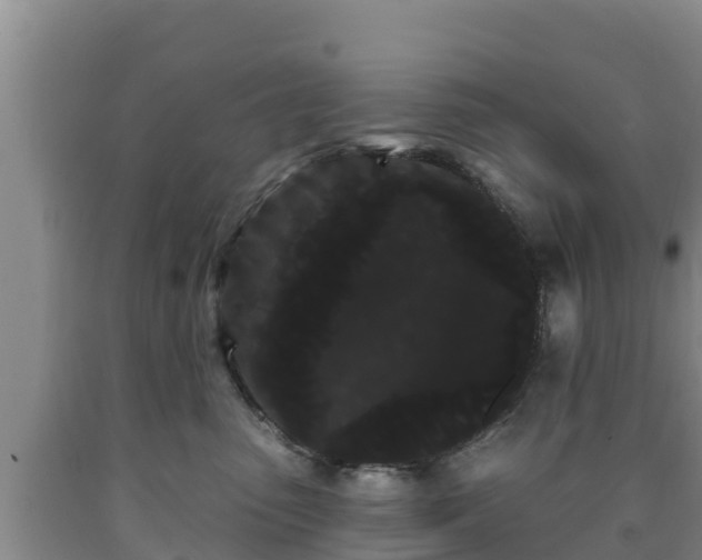 X0000090710475200707271135