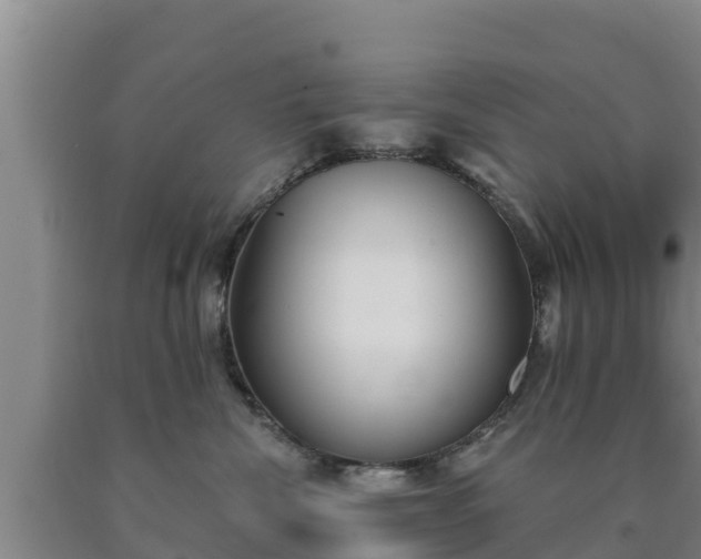 X0000090710476200707271135