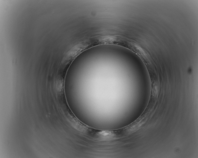 X0000090710477200707271135