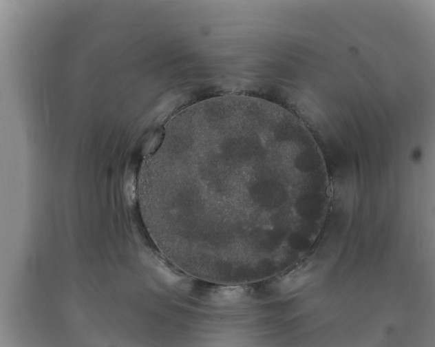 X0000090710479200707271135