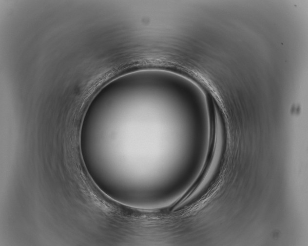 X0000090710481200707271134