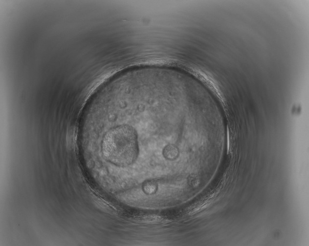 X0000090710483200707271134