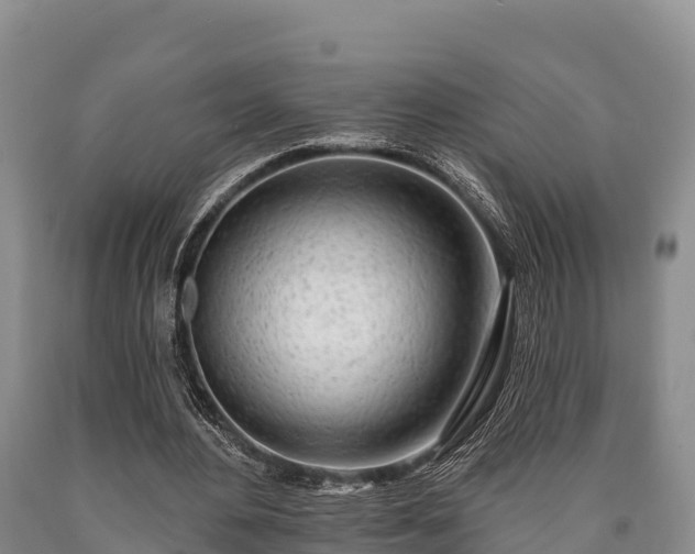 X0000090710484200707271134