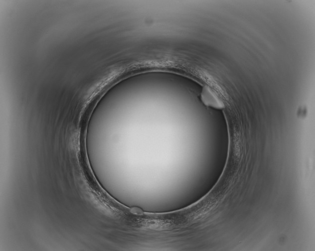 X0000090710486200707271134