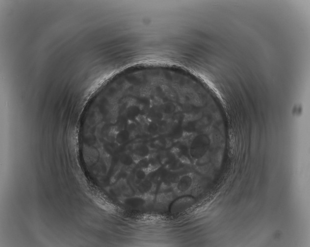 X0000090710487200707271134