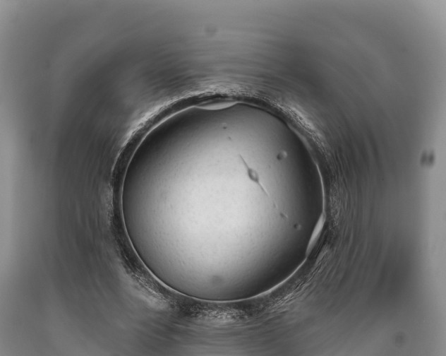 X0000090710488200707271134