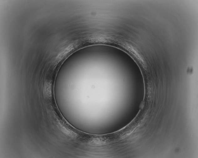 X0000090710489200707271134