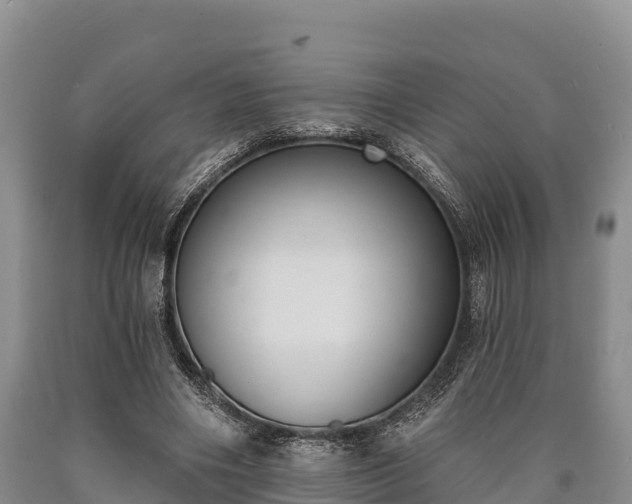 X0000090710490200707271134