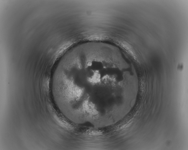 X0000090710491200707271134