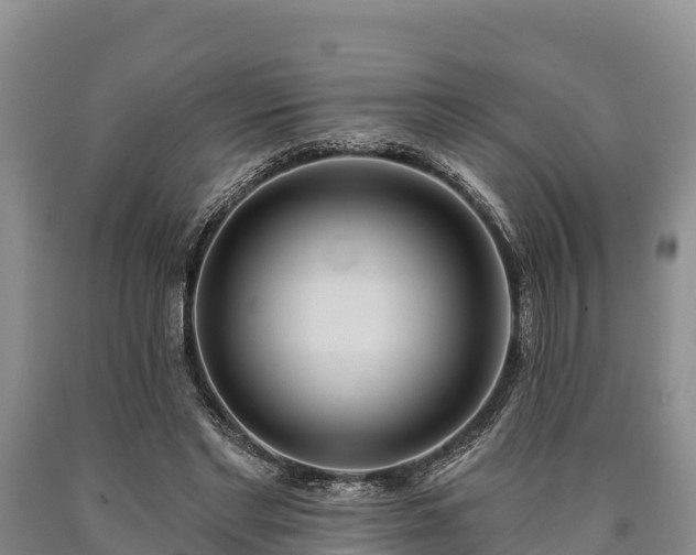 X0000090710493200707271134