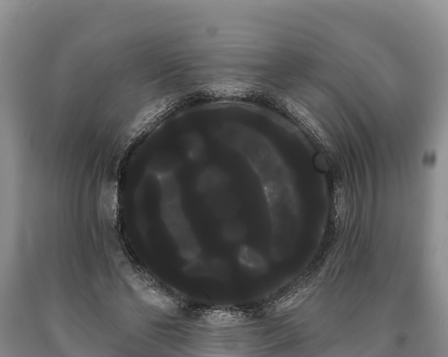 X0000090710494200707271134