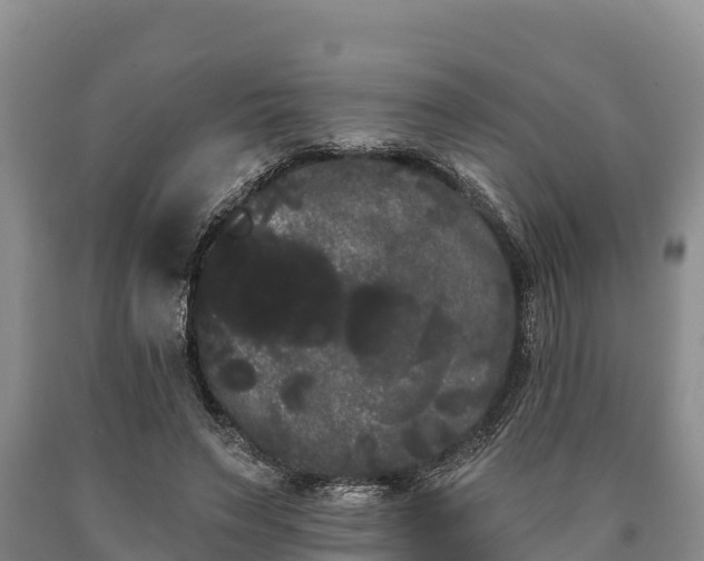 X0000090710495200707271134